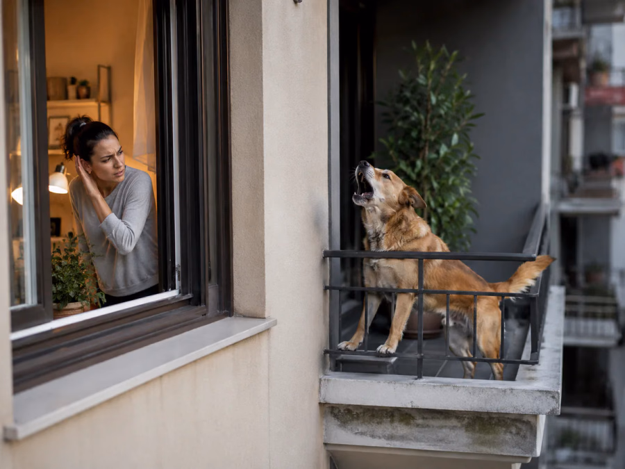 Dos viviendas vecinas con un perro ladrando y diferentes recorridos del sonido por fachada, patio y pared medianera